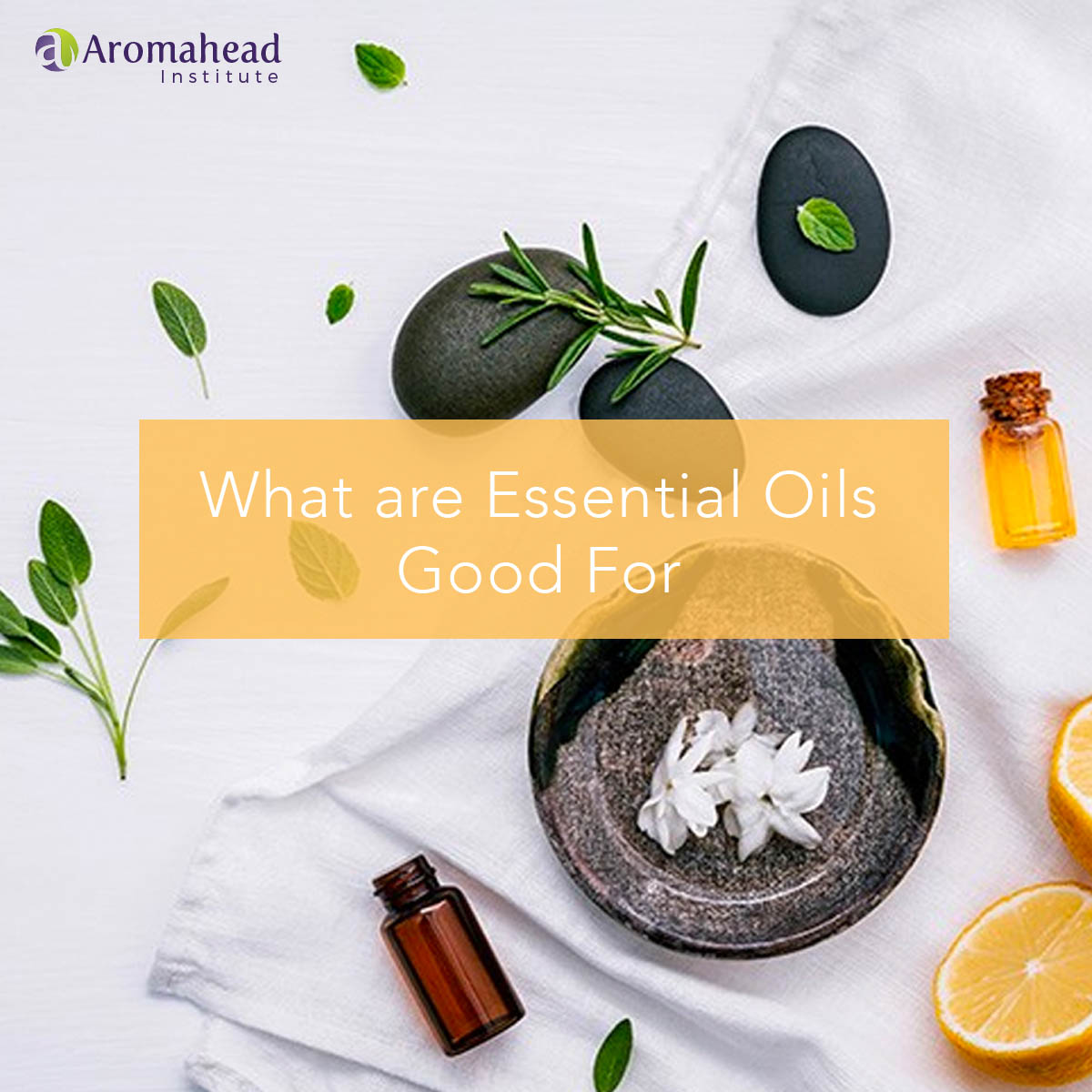 What are Essential Oils Good For? Aromahead Blog
